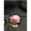 Image 2 : 3 Glass Paperweights