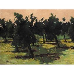 Robert T. Killen RUA OLIVE GROVE, SAN PASSIGNANO