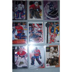 Lot of 9 Patrick Roy Hockey cards