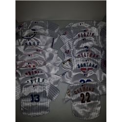 2005 Upper Deck Baseball Mini Jersey Lot of 17