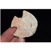 Image 1 : 2" Hopewell Snyders Blunt, Found in NE Missouri by Jeff