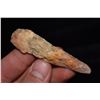 Image 2 : 2 7/8" River Stained Drill, Found in NE Missouri by