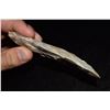 Image 3 : 4 1/2" Clear Fork Gouge, Found in NE Missouri by Jeff