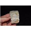 Image 4 : 4 1/2" Clear Fork Gouge, Found in NE Missouri by Jeff