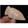 Image 1 : 2 3/4" Gibson, Found in NE Missouri by Jeff Gower