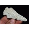 Image 2 : 3" Snyders, Found in NE Missouri by Jeff Gower