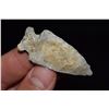 Image 2 : 2" Robbins, Found in NE Missouri by Jeff Gower