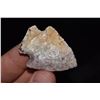 Image 1 : 1 3/4" Snyders, Found in NE Missouri by Jeff Gower