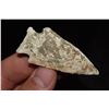 Image 2 : 2 3/8" Apple Creek, Found in NE Missouri by Jeff Gower
