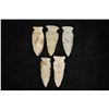 Image 1 : Grouping of Side Notch Points, All Found on Same Site