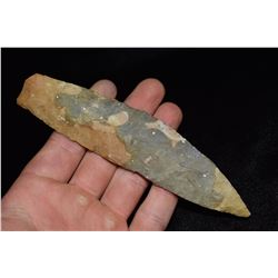 6" Colorful Sedalia, Ex Dr. Nuckles Collection, Dr