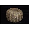 Image 3 : 4" Effigy Mace Head, Gourd Effigy, Pre Columbian, Ex