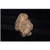 Image 2 : 3" Tall Human Effigy, Pre Columbian, Ex Herb Mangold