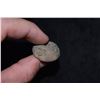 Image 4 : Grouping of Mayan Pottery Beads, Pre Columbian, Ex Herb