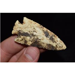 2 1/2" Hardin, Ralls Co, Missouri, Herb Mangold