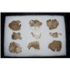 Image 1 : Frame of Hopewell Mica Mirrors, Found at Mann Site,