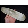 Image 1 : 11 3/8" Archaic Spade, Well Made, Ex Dr. Nuckles