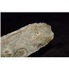 Image 7 : 11 3/8" Archaic Spade, Well Made, Ex Dr. Nuckles