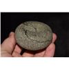 Image 3 : 2 3/4" Discoidal, Gray Hardstone with Colorful Black