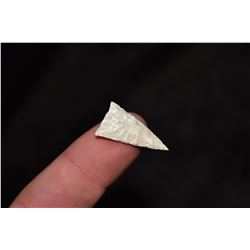 1" Extra Fine Madison, FB Jeff Gower, NE Missouri