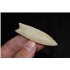 Image 1 : 2 1/2" Plainview, Hixton Quartzite, Keele COA, Ogle Co,