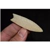 Image 2 : 2 1/2" Plainview, Hixton Quartzite, Keele COA, Ogle Co,