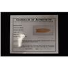 Image 8 : 2 1/2" Plainview, Hixton Quartzite, Keele COA, Ogle Co,