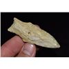 Image 2 : 2 3/4" Contracting Stem, Missouri