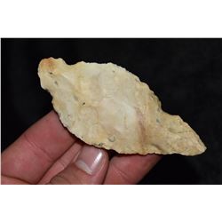 3 3/4" Turkey Tail, Motley COA, Pemiscot Co, Missouri