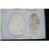 Image 5 : Lot of Approximately 9 Arrowheads, Central Missouri