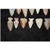 Image 4 : Lot of Bird Points, FB Steve Hinkle, Adams Co, Illinois
