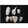 Image 1 : Lot of Anasazi Shell Jingles