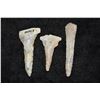 Image 1 : Lot of 3 Drills, Central Missouri, Deconsessioned From