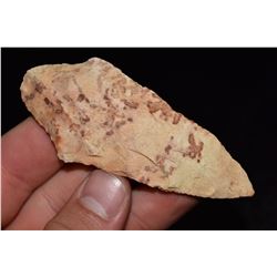 3 1/2" Dickson, Central Missouri, Deconsessioned From a