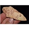 Image 1 : 3 1/2" Dickson, Central Missouri, Deconsessioned From a