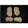 Image 1 : Lot of Net Weights, Donny Austin Collection
