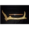 Image 8 : 23" 1800s Cribbage Board Elk Antler
