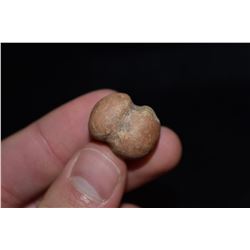 3/4" Ear Plug, Arkansas