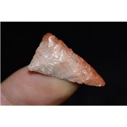 1" Colorful Bird Point, Bob Zimmerman Collection, St