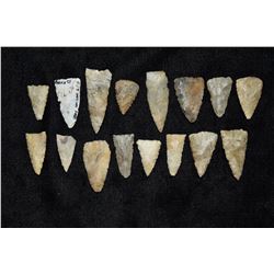 16 Nice Bird Points, Bob Zimmerman Collection, St