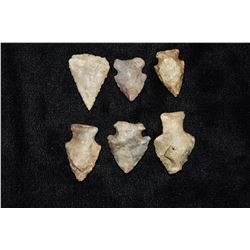 Lot of 6 Nice Colored Bird Points, Bob Zimmerman