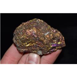 2 7/8" Chalcopyrite Mineral, Zacataecas, Mexico, Bob