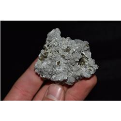 2 1/4" Calclite, Pyrite Mineral, Meknes, Morocco, Bob