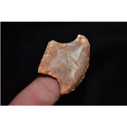 1 1/8" Stunner, Florida Ex Jake Barnes