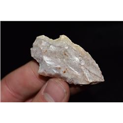 2 1/8" Adena, Florida Ex Jake Barnes