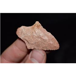 2" Adena, Florida Ex Jake Barnes