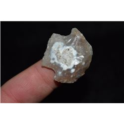 1 3/16" Blunt Point, Florida Ex Jake Barnes