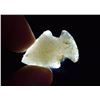 Image 1 : 1 1/16" Translucent Quartz Bird Point, Florida Ex Jake