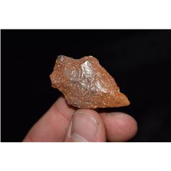 1 5/8" Sumter Point, Florida Ex Jake Barnes