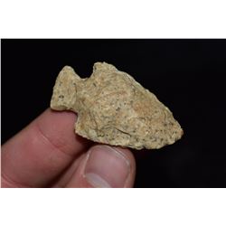 1 7/8" Broward Point, Florida Ex Jake Barnes